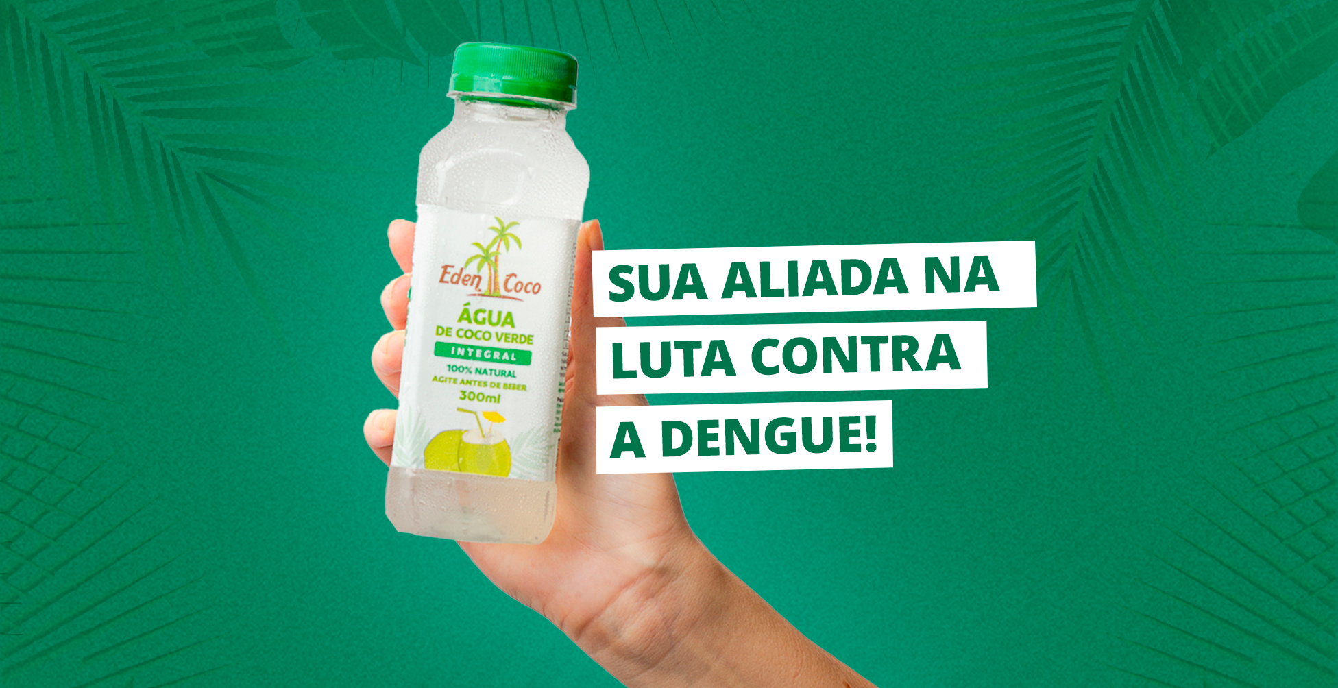 EdenCoco em Combate à Dengue