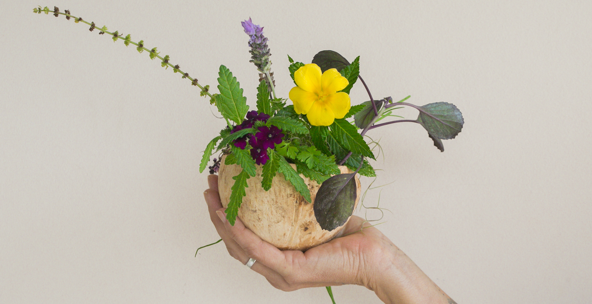 Transforme seu EdenCoco em Arte: Ideias Criativas com Coco 100% Natural!